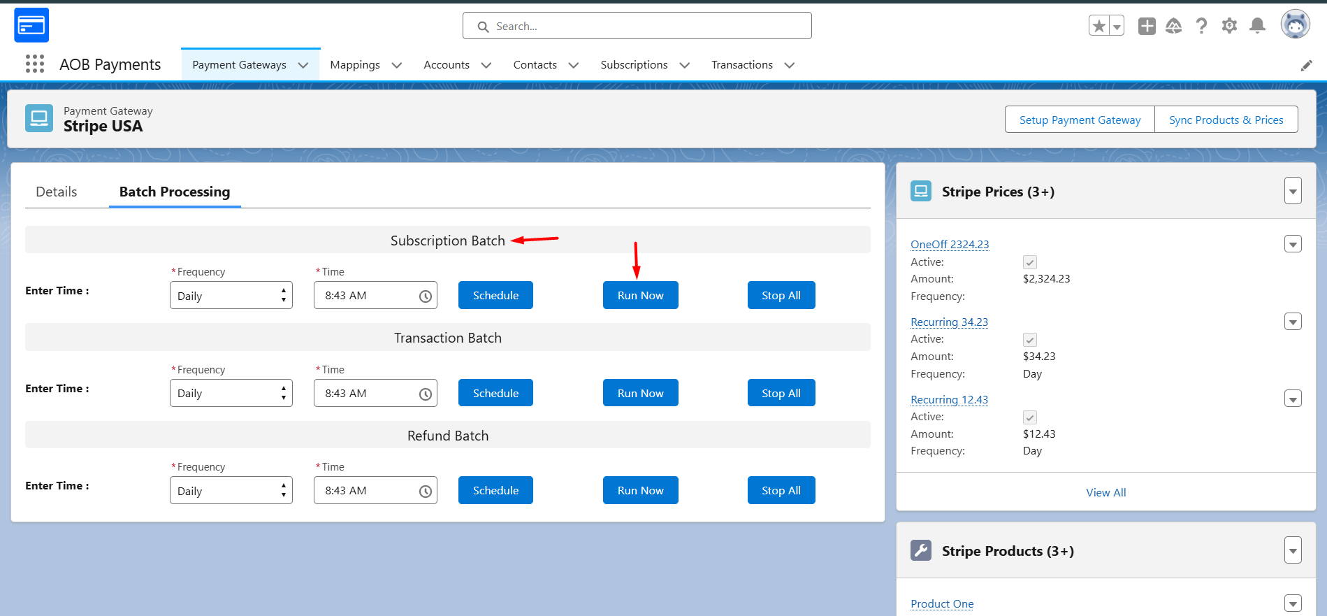 Subscription Processing Batch: screenshot 1